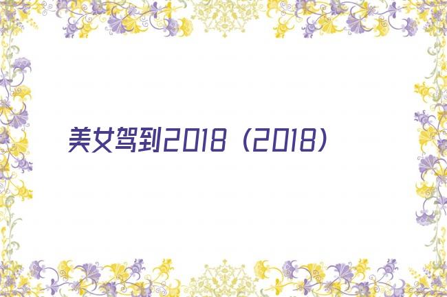 美女驾到2018 (2018)剧照